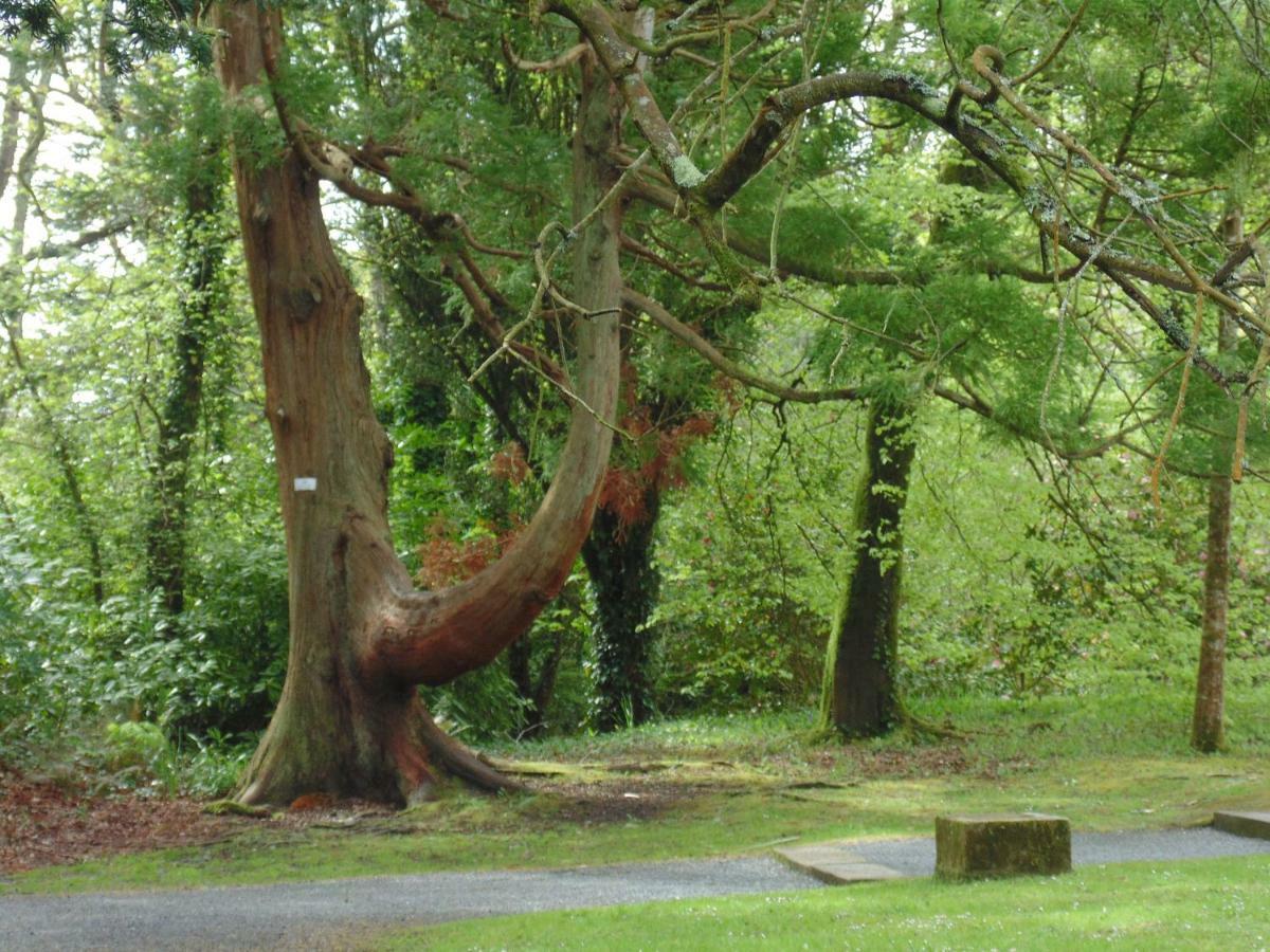 Lough Rynn Rental Mohill Extérieur photo